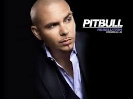 Pitbull Rapper Wallpaper Pitbull Nazanin Pitbull Rapper Pitbull Songs Pitbull Artist