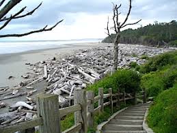 Maybe you would like to learn more about one of these? National Park Road Trip 2011 Kalaloch Lodge And Lake Quinault Lodge At Olympic National Park National Parks Traveler