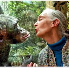 Old man of the forest... So often I see faces in the tree's, often very  similar to ones I have seen before. I'd be lying if I said that I didn't  stop