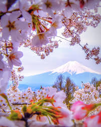 Piclogy On Twitter Mt Fuji Seen Through The Cherry Blossoms At Arakura Sengen Shrine Japan Photography By C Capkaieda
