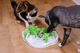 It is a very large plate with a lot of surface area that you can pour kibble or wet food onto. Aa Kiou Thin Kat Interactive Cat Bowl Slow Feed Flower Puzzle Wet Automaticcatfeederhomemade Automatic Cat Feeder Cat Bowls Cat Feeder