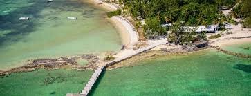 Andros South Lodge Trip Report - Eric Ersch