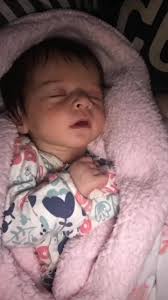 Hannah Spicer Plymouth