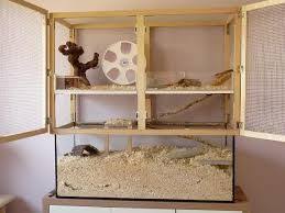 Afbeeldingsresultaat Voor Degu Kafig Selber Bauen Degu Hamster Selber Bauen