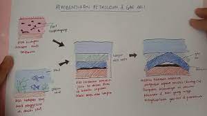 Proses pembentukan petroleum dan gas asli adalah tafsiran berkaitan dengan kefahaman ayat ini dalam bidang tafsiran. 9 6 Proses Pembentukan Petroleum Gas Asli Youtube
