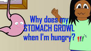 My stomach growls like i'm starving to death way to often. Science Questions From Kids Why Does My Stomach Growl When I M Hungry Youtube