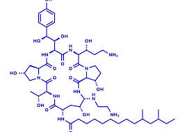 Image result for Caspofungin