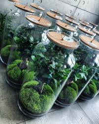 Jak Zrobic Las W Sloiku Wlasny Ekosystem W Sloiku Inspiracje Bottle Garden Garden Terrarium Plants
