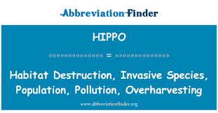 Most foxes live in forests or other wooded areas. Hippo Definition Habitat Destruction Invasive Species Population Pollution Overharvesting Abbreviation Finder