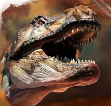 Tullia colombo comitato scientifco per la didattica: Extinction Prima E Dopo La Scomparsa Dei Dinosauri Trovaeventinews