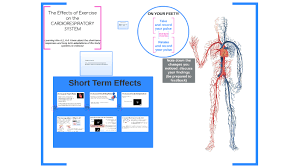 Short Term Effects Of Exercise On The Cardiorespiratory System By Michael Bruns