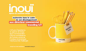 Offre D Emploi Recrutement L Agence Consumer Design Inoui Cherche Son Directeur Commercial Offre Emploi Emploi Design Design De Communication