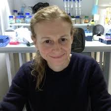 Compartmentalization and Dynamics of Nuclear Functions