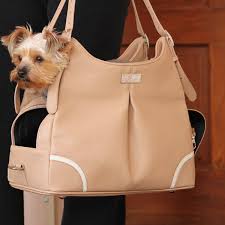 Idéale pour l'alimentation quotidienne de. 10 Summer Travel Accessories For Dogs From Crazy Cheap To Crazy Chic The Dog People By Rover Com
