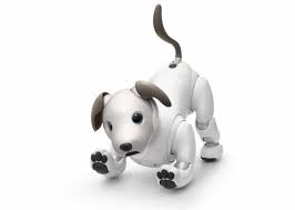Black And White Robot Dog The Sony Aibo Is A Robotic Smart Dog That Costs 3 000 Sony Cool New Gadgets Robot