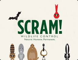 Wildlife & pest control, based in colorado springs, co, offers the best in organic pest control services we're one of the top companies for pest control and wildlife removal services in colorado springs, co. Scram Services Humane Animal Control Services Ohio Wildlife Center