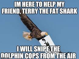 Kari The Bald Eagle Meme By Aquanil Memedroid