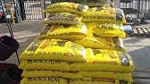 We did not find results for: Morning Gardener At Lowe S Shopping For Black Kow Manure Youtube