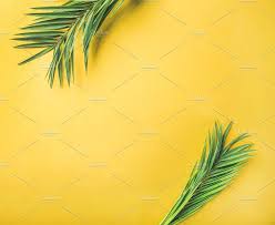 Red, blue, orange, pink, and green; Green Palm Branches Over Yellow Palm Background Yellow Background Palm Branch