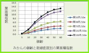 キトロロギストxの記録 みかん園の葉面積指数をもとめる