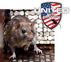 Abc pest control limited, registered in england and wales, company no. United Pest Control Professional Pest Control Services