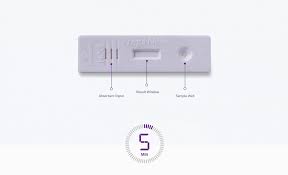 Home pregnancy tests are not as accurate as pregnancy tests performed in a doctor's office. Prega News Kit How To Use Pregnancy Test Kit Early Pregnancy Test