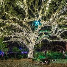 Myrtle Beach Attractions Brookgreen Gardens Romantic Things To Do Myrtle Beach Best Christmas Lights