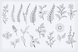 Pin On Garden Journal Hand Drawn Doodles