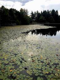 Martha Lake
