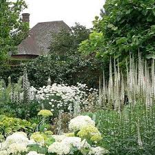 White Color Shades Wildflowers This White Wildflower Seed Mix Contains Only Annuals That Are In Shades Of White White Gardens Moon Garden Beautiful Gardens