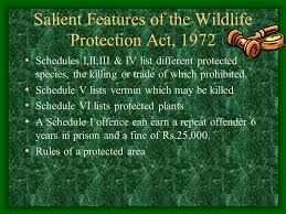 The wildlife (protection) act, 1972 (last amended in 2006) the wildlife (protection) act (wlpa), 1972 is an important statute that provides a powerful legal framework for: Animals The Law Aparna Rajagopal Ppt Video Online Download