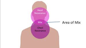 The entire graph represents the total of all the data plotted. Diagram Of Chest Head And Mix Ramsey Voice Studio