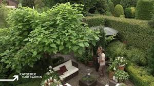 Kleine blätter, die die ersten blumen ankündigen. Reihenhaus Mit Gartenparadies Ratgeber Haus Garten Ard Das Erste