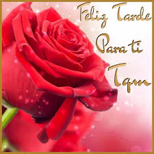 Feliz Tarde Para Ti Tqm Frases De Buenas Tardes Mensajes De Buenas Tardes Buenas Tardes Mi Amor