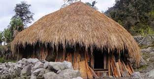Rumah Adat Papua Gambar Penjelasan Mengenai Keunikannya