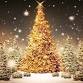 Fordingbridge Christmas Lights Switch On & Late event image