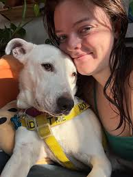 Our Katie has a new buggy to get around has problems walking now and gets  very tired she will be 15 years old