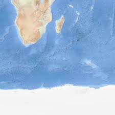 Image result for Hirpicium gazanioides