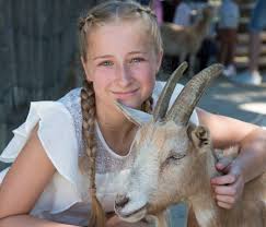 Our practice loves all animals! Veterinarian And Animal Hospital In Nashua Nh All Pets Veterinary Hospital