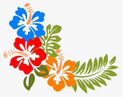 This clipart image is transparent backgroud and png format. Hawaii Clipart Bunga Raya Flowers Clipart Black And White Free Transparent Clipart Clipartkey