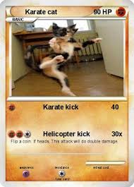 Check spelling or type a new query. Pokemon Karate Cat 15