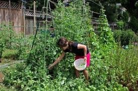 Backyard & garden design ideas digital magazine. Children S Garden Ideas Teaching Kids To Design A Garden