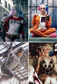 Pin On Harley Quinn