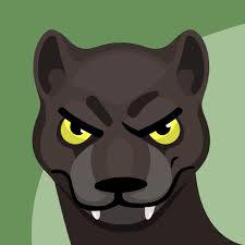 How to start using agario skins? Panther Agario Custom Skin Name