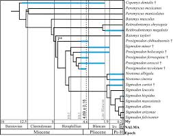 Also, among the 11 new arthropods described,. A New Species Of Sigmodontinae Rodentia From The Late Hemphillian Of Central Mexico And Comments On The Possible Radiation Of This Group