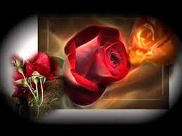 Tanti Auguri A Te Birthday Wishes Birthdays Rose