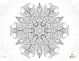Hopefully you can make some time for you and relax while working on one of these flower adult. Pin On Coloring