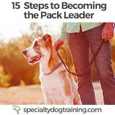 15 Steps To Becoming The Pack Leader - Specialty Dog Training™