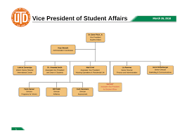 organization chart student affairs the university of