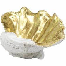 Find furniture & decor you love at hayneedle, where you can buy online while you explore our room designs and curated looks for tips, ideas & inspiration to help you along the way. Rosecliff Heights Ocean Giant Clam Shell Trinket Dish Wayfair